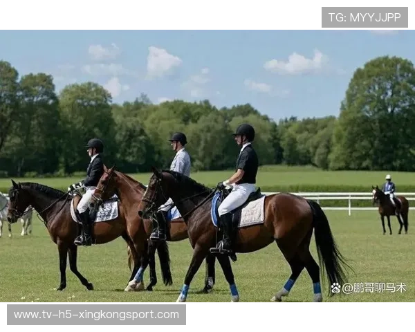 顶级马术赛跑中马匹状况成舆论焦点，动物福利话题被提上台面