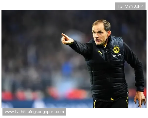 拜仁未来将构建“多核控场”体系，全面升级战术核心