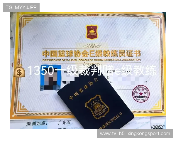 篮球培训与职业认证在中国政策支持下的发展状况，篮球训练证书培训考试