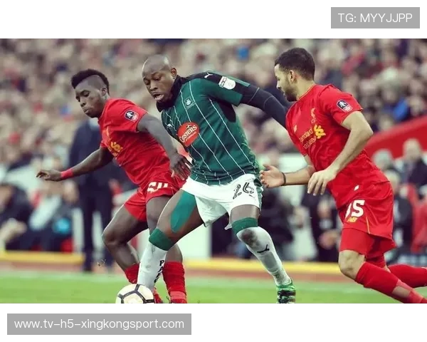 球队主场胜率稳步提升，主场胜率100%