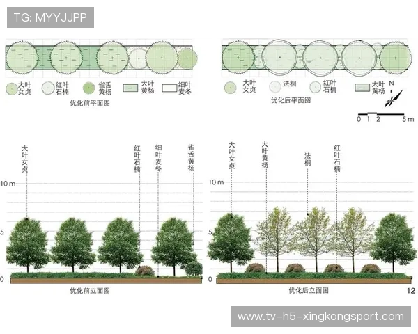 体系结构优化效果分析（492 ）